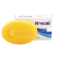 Noscab Soap - Ethinext Pharma